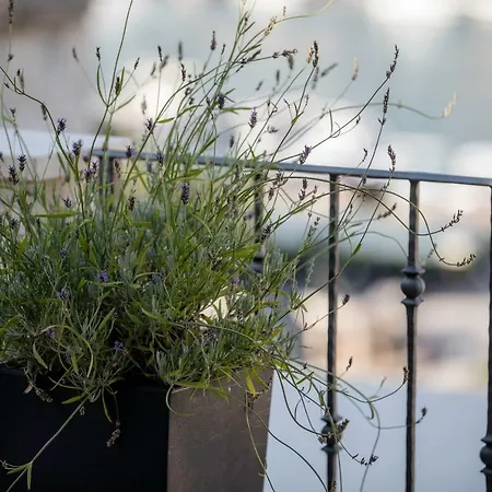 Santino Villa Rab Town