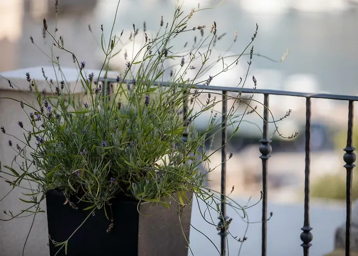 Santino Vila Rab Town